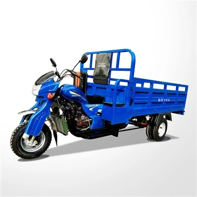 250CC trehjulssykkel med lasteboks
