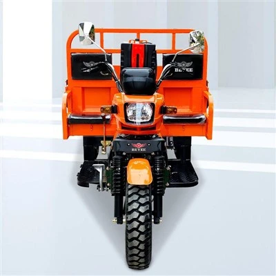 Motorisert Cargo Tricycle